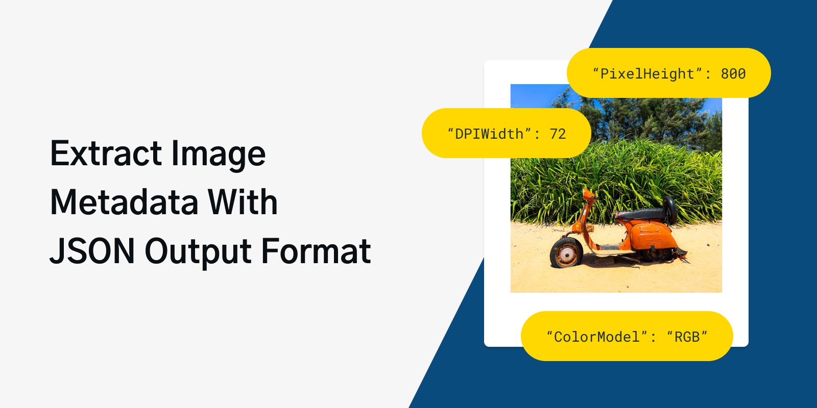The JSON Output Format | Tutorials | Getting Started